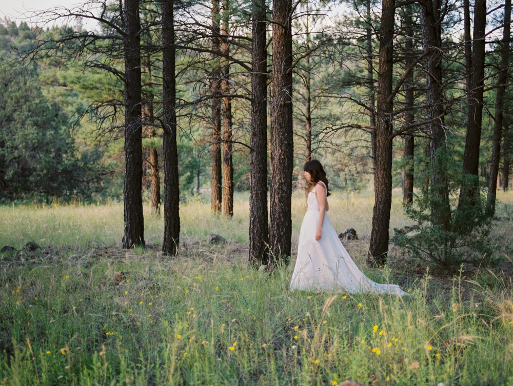 Flagstaff Arizona Wedding Photographer