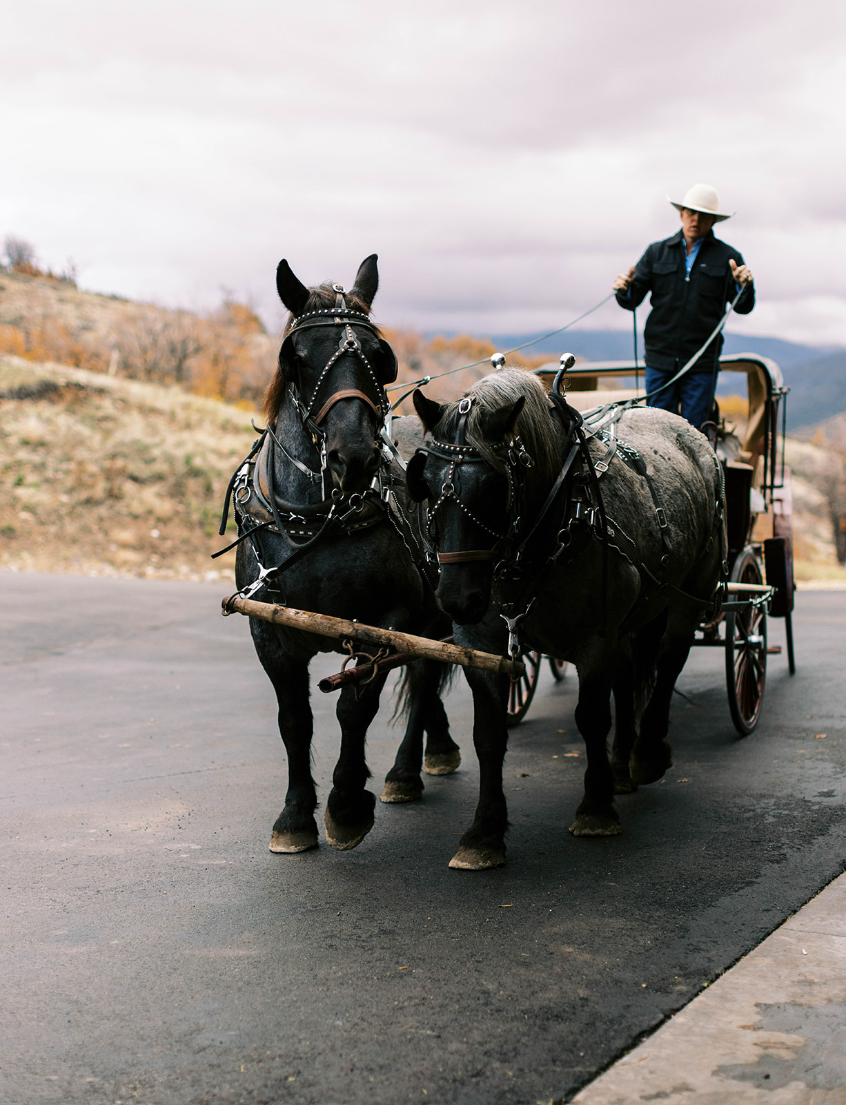 a horse drawn carriage waits to pick up a bride for her ceremony at a western ranch wedding in park city utah. photo taken by megan robinson photography