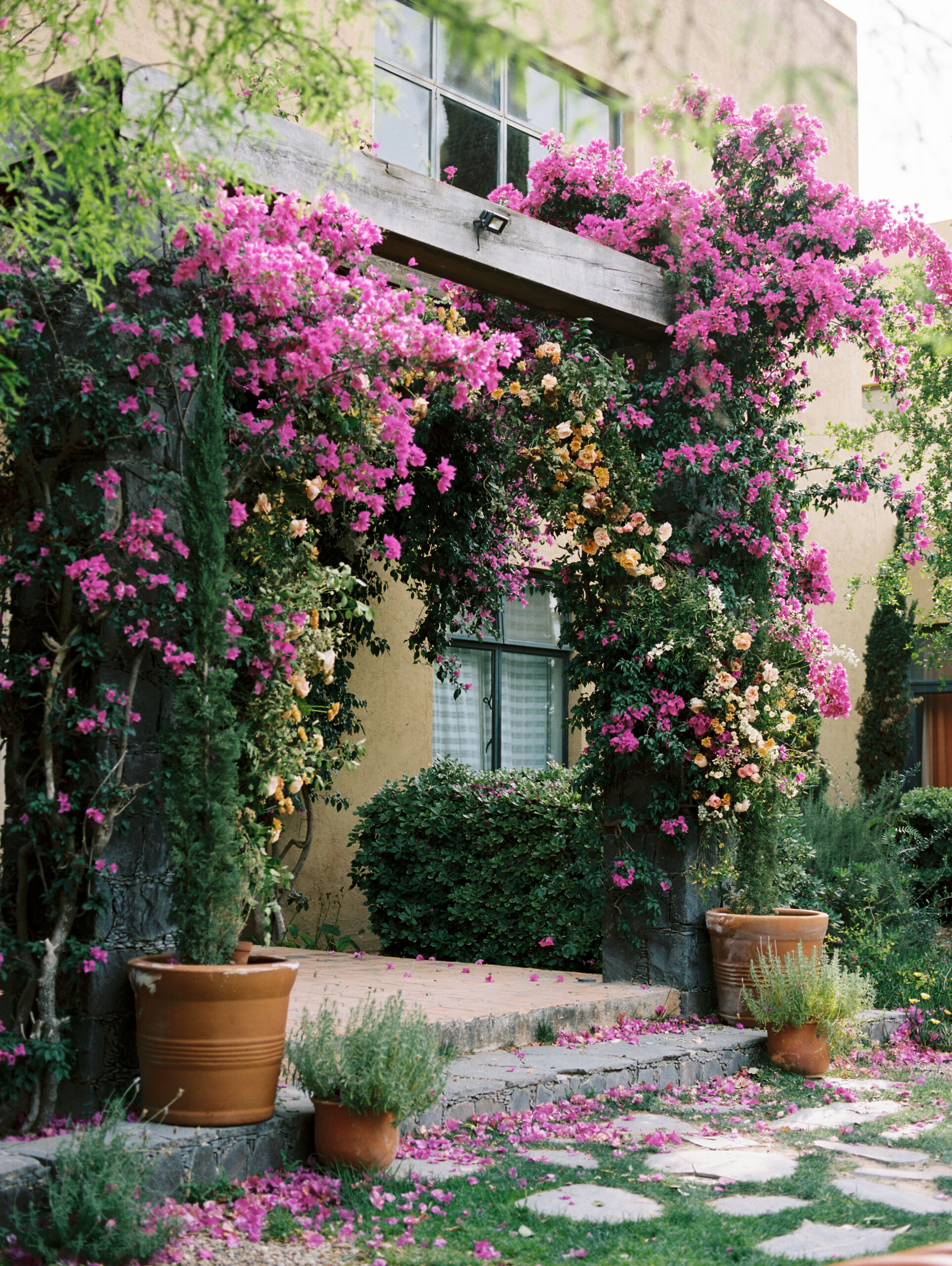 close up of orange and purple lush bougainvillea trees in a green ceremony space in Mexico